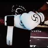 PrecisionStrike Boxing Gloves - Black and White (Adult and Kids)