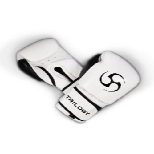 PrecisionStrike Boxing Gloves - Black and White (Adult and Kids)